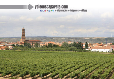 Aldeanueva de Ebro celebra hoy el día de su patrona, la Virgen de los Remedios