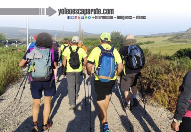 La Asociación de Amigos del Camino de Santiago de Alfaro recorrerá el Camino Castellano-Aragonés y Soriano