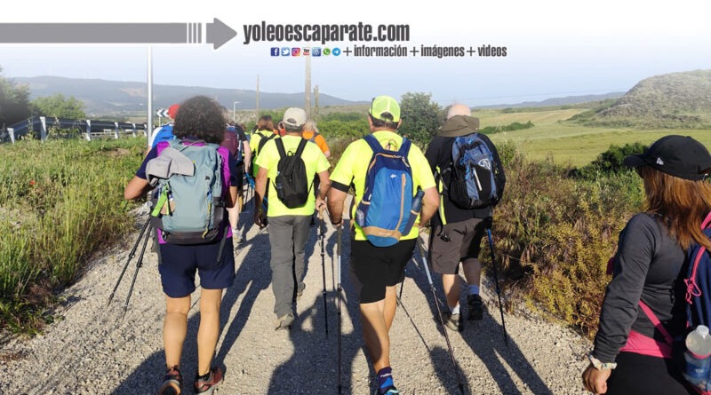 La Asociación de Amigos del Camino de Santiago de Alfaro recorrerá el Camino Castellano-Aragonés y Soriano