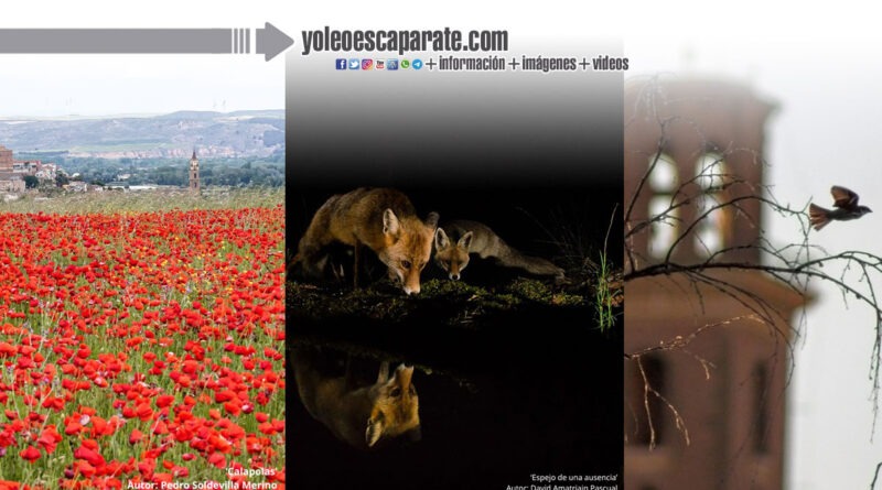 Blanca Lorza, David Amatriain y Pedro Soldevilla ganan el VI Concurso fotográfico de Turismo de naturaleza ‘Ciudad de Calahorra’