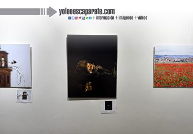 La Casa de los Curas acoge la exposición del VI concurso fotográfico ‘Turismo de naturaleza’ hasta el 29 de noviembre
