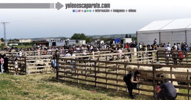 Rincón de Soto vivió unas intensas jornadas de ferias