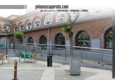 La Plaza de Abastos ofrece cinco puestos para nuevos negocios, con precios anuales desde 918 euros