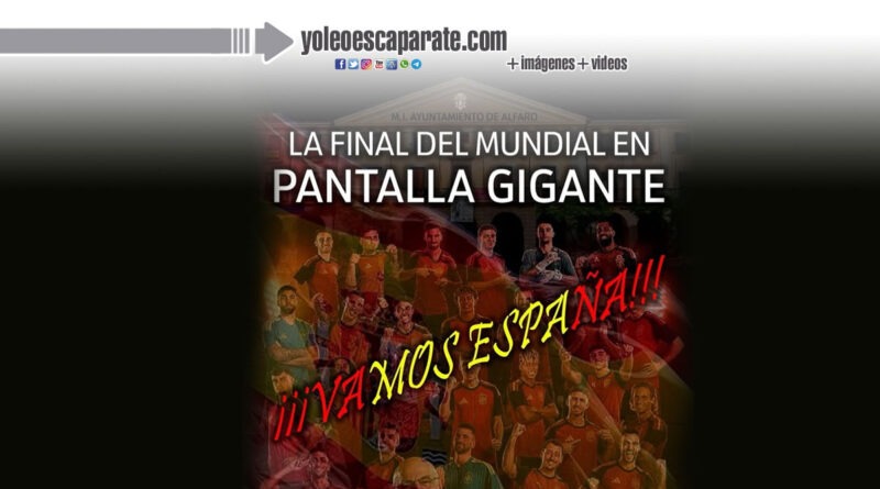 Alfaro se cita con la selección española para vivir la final del Mundial en la Plaza de España