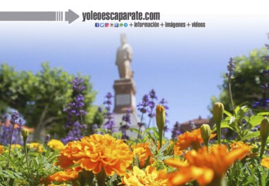 Comienza la campaña de plantación de primavera con más de 10.000 plantas