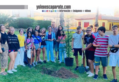 Los jóvenes de la Casa de la Juventud de San Adrián plantaron dos cedros en el parque de Las Señoritas