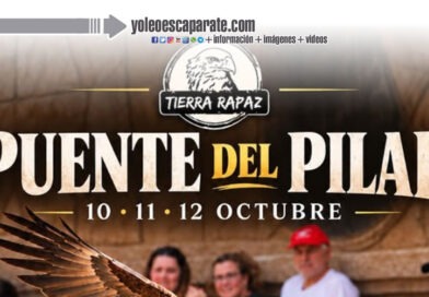 Tierra Rapaz propone un Puente del Pilar entre aves rapaces y fauna de todo el mundo
