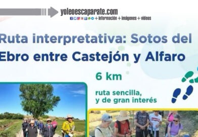 Una ruta interpretativa recorrerá los sotos del Ebro entre Castejón y Alfaro el 25 de octubre