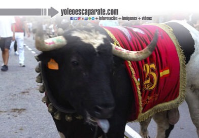 Rincón de Soto vivió sus Fiestas de San Miguel con tradición, música y festejos taurinos