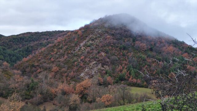 Caminando hacia Santiago 18E