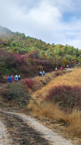 Caminando hacia Santiago 18E