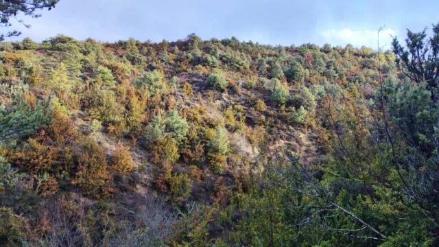 Caminando hacia Santiago 18E