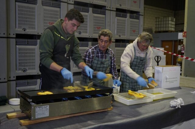 Fiesta pringada Calahorra