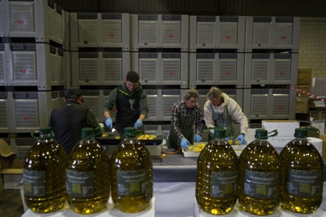 Fiesta pringada Calahorra