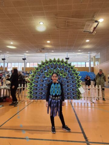 Carnaval de papel de Calahorra