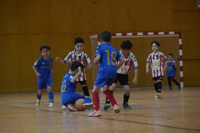 Torneo Prenenjamin 2019 Calahorra