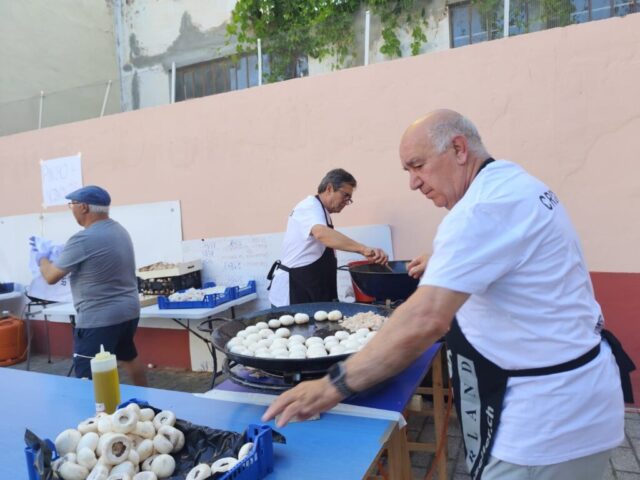 Proyecto Solidario de la Santísima Trinidad