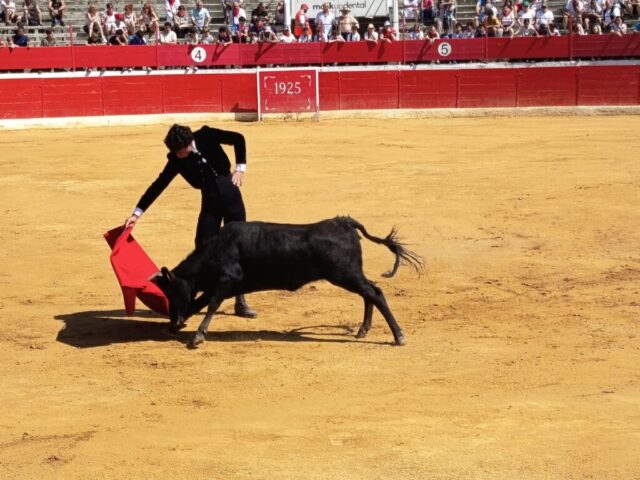 Fiestas de Alfaro. Martes 18 de Agosto