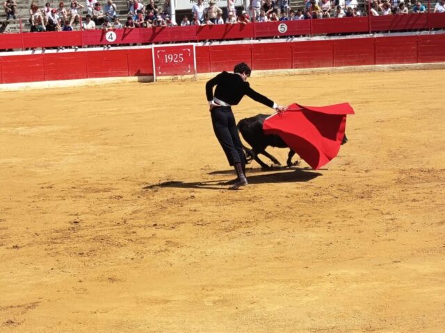 Fiestas de Alfaro. Martes 18 de Agosto