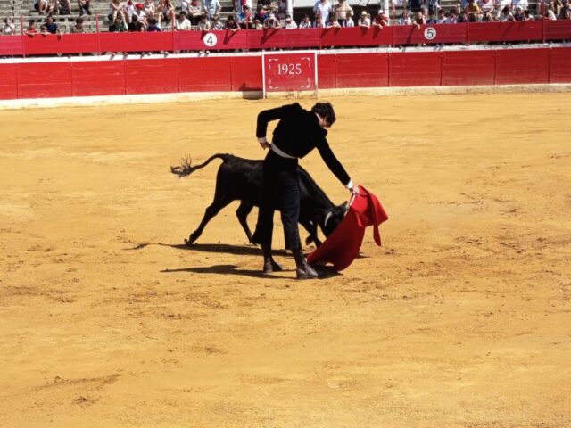 Fiestas de Alfaro. Martes 18 de Agosto