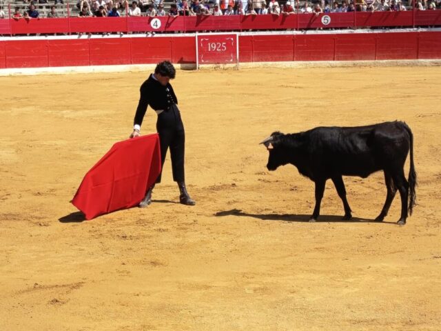 Fiestas de Alfaro. Martes 18 de Agosto