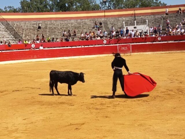Fiestas de Alfaro. Martes 18 de Agosto