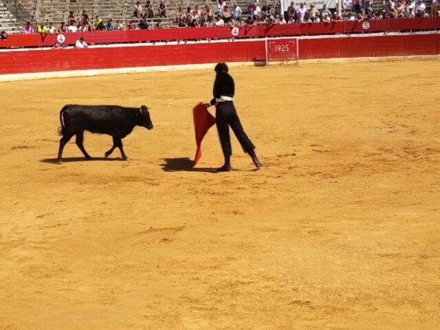 WhaaFiestas de Alfaro. Martes 18 de AgostotsApp Image 2026-08-18 at 13.59.42 (5)