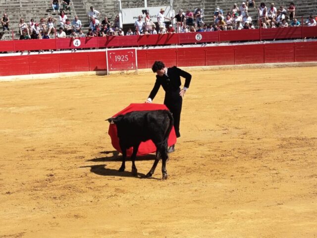 Fiestas de Alfaro. Martes 18 de Agosto