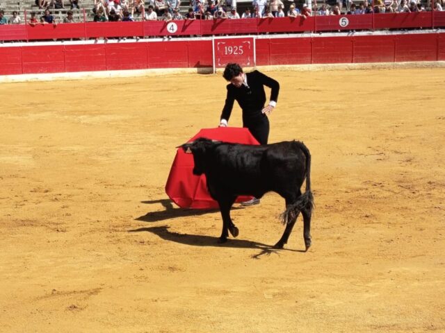 Fiestas de Alfaro. Martes 18 de Agosto