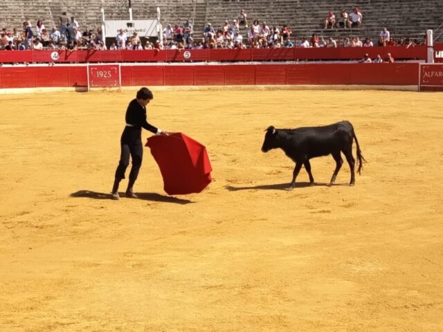 Fiestas de Alfaro. Martes 18 de Agosto