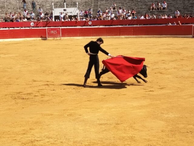 Fiestas de Alfaro. Martes 18 de Agosto