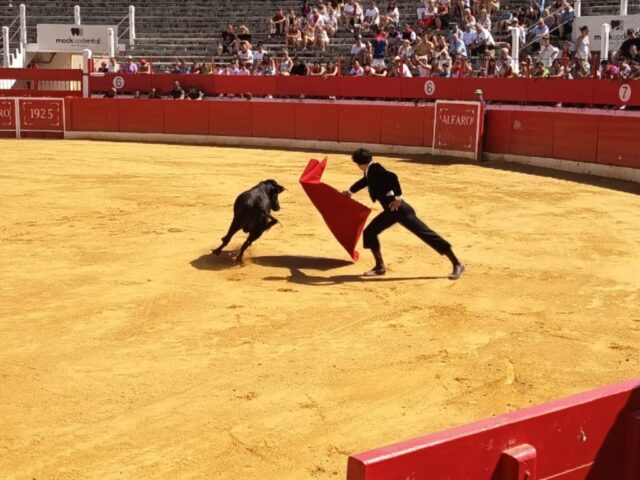 Fiestas de Alfaro. Martes 18 de Agosto