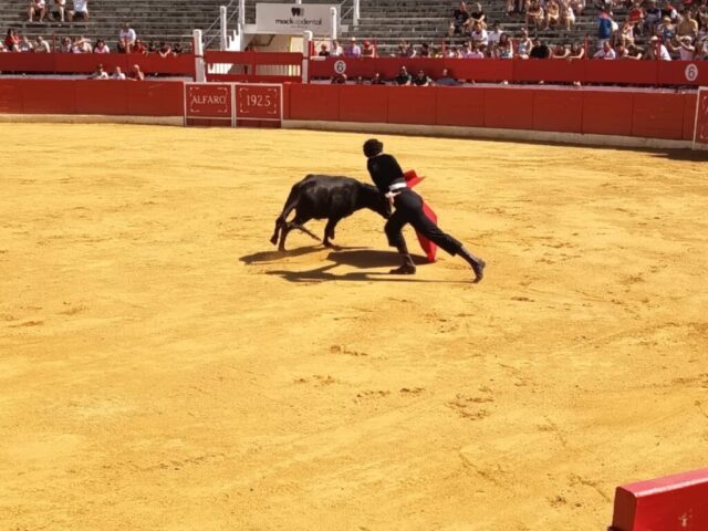 Fiestas de Alfaro. Martes 18 de Agosto