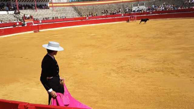 Fiestas de Alfaro. Martes 18 de Agosto