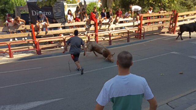 Fiestas de Alfaro. Martes 18 de Agosto