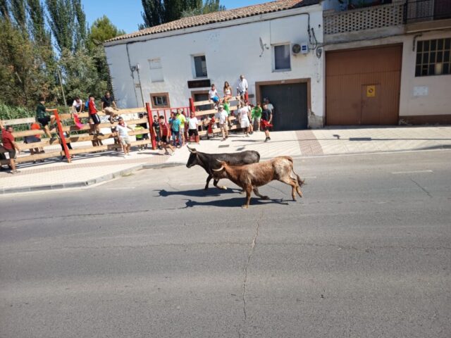 Fiestas de Alfaro. Martes 18 de Agosto