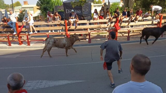 Fiestas de Alfaro. Martes 18 de Agosto
