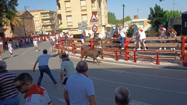 Fiestas de Alfaro. Martes 18 de Agosto