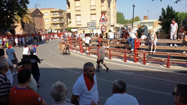 Fiestas de Alfaro. Martes 18 de Agosto