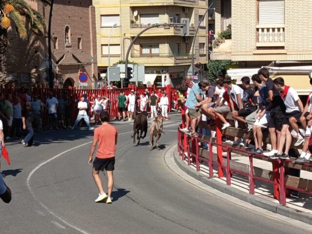 Fiestas de Alfaro. Martes 18 de Agosto
