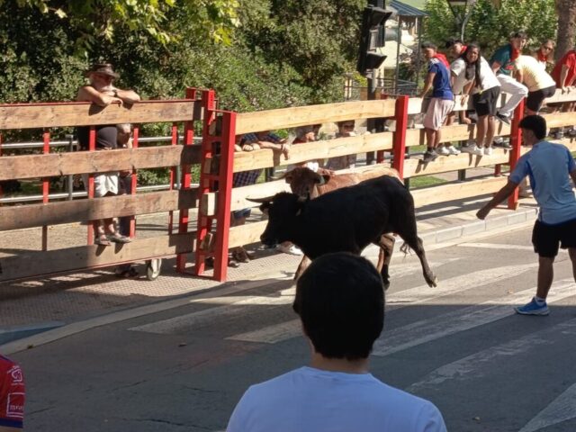 Fiestas de Alfaro. Martes 18 de Agosto