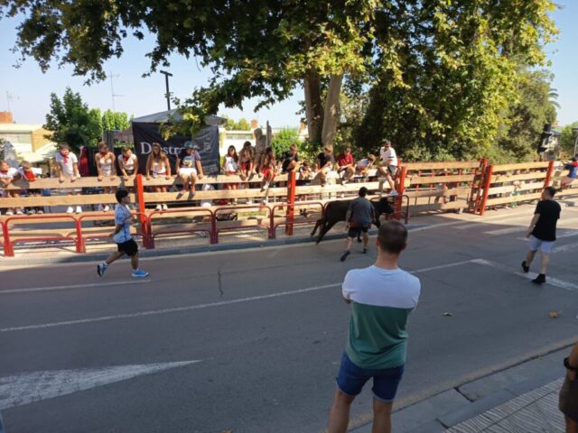 Fiestas de Alfaro. Martes 18 de Agosto