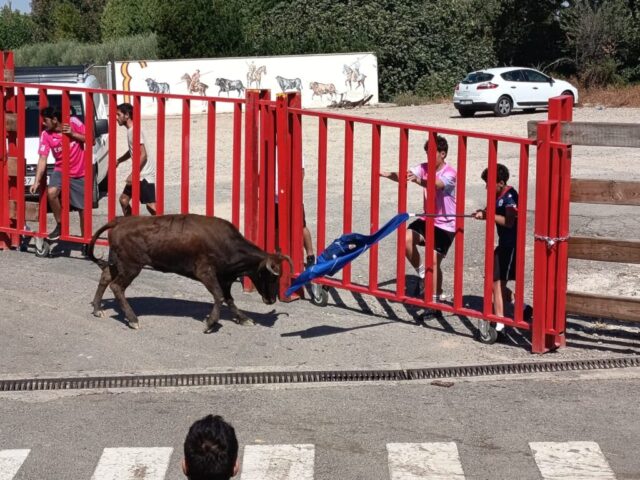 Fiestas de Alfaro. Martes 18 de Agosto