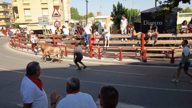 Fiestas de Alfaro. Martes 18 de Agosto