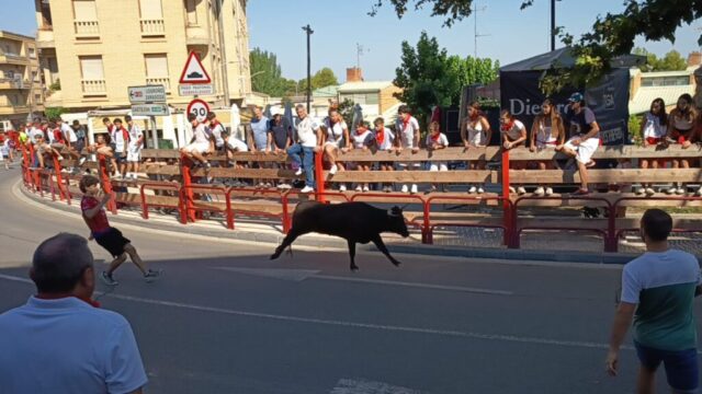 Fiestas de Alfaro. Martes 18 de Agosto