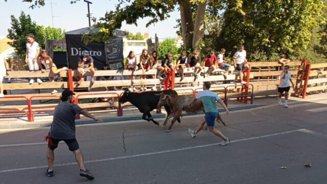Fiestas de Alfaro. Martes 18 de Agosto