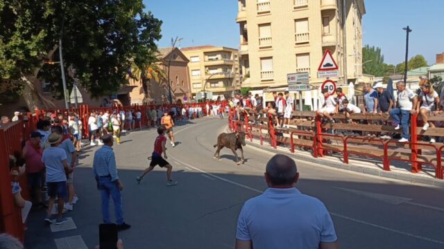 Fiestas de Alfaro. Martes 18 de Agosto