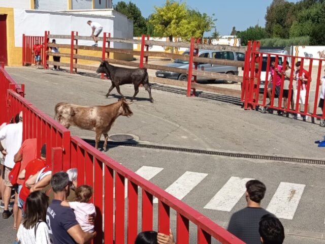 Fiestas de Alfaro. Martes 18 de Agosto