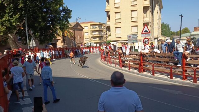 Fiestas de Alfaro. Martes 18 de Agosto