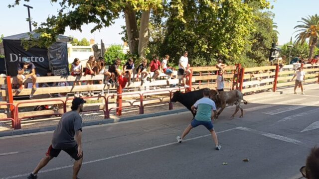 Fiestas de Alfaro. Martes 18 de Agosto